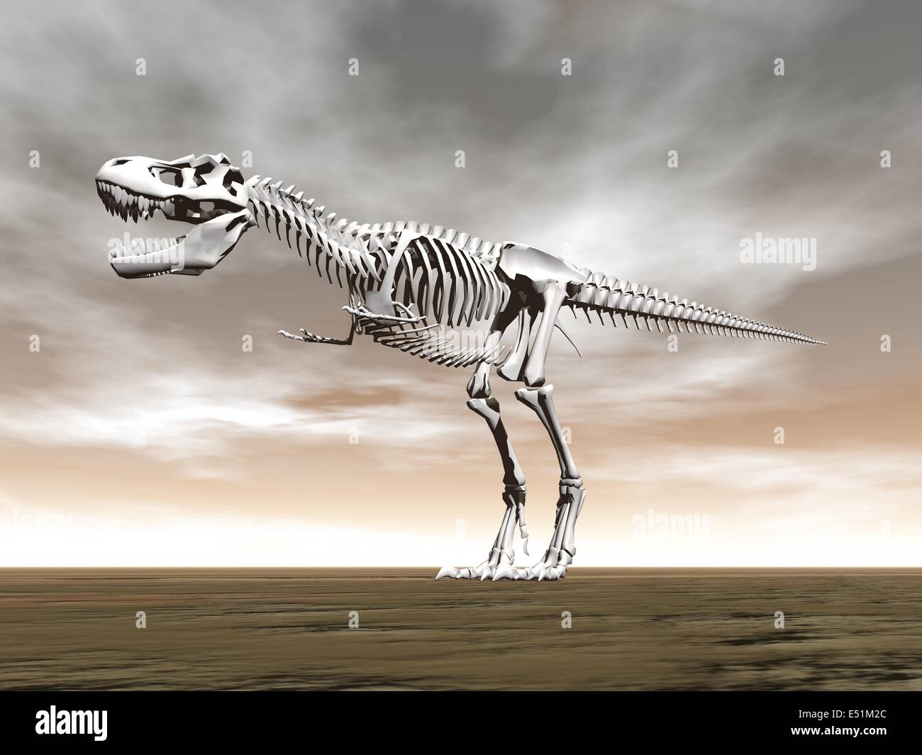 Tyrannosaurus Rex Skelett - 3D render Stockfoto