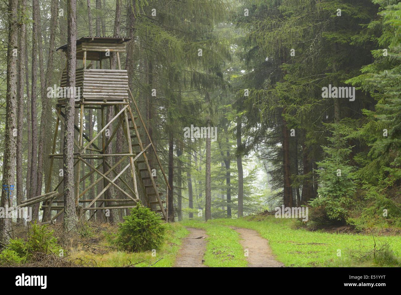 Hochsitz, Deutschland Stockfoto