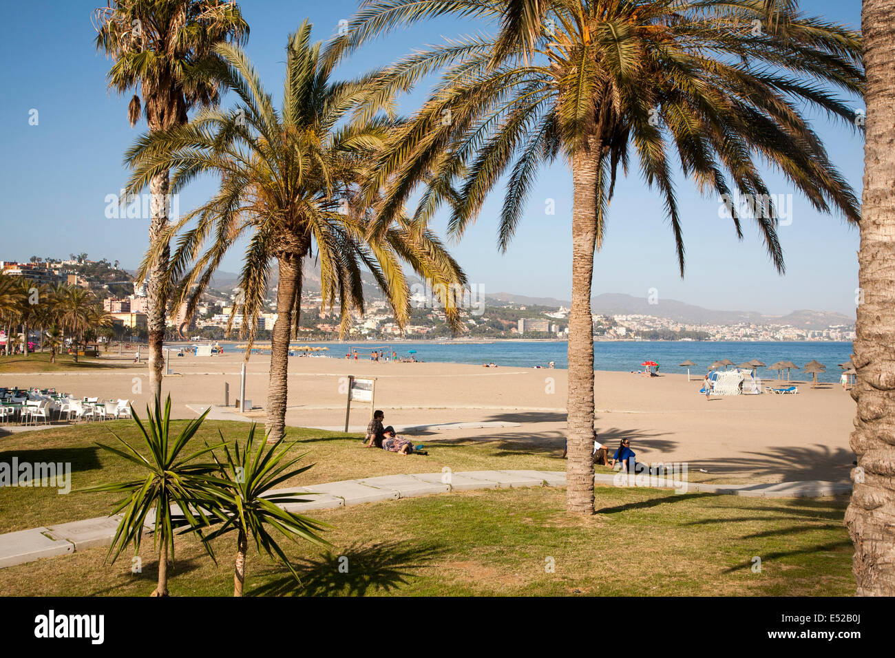 Palmen, Playa de Malaguera Sandstrand Menschen Sonnenbaden am Meer, Malaga, Spanien Stockfoto
