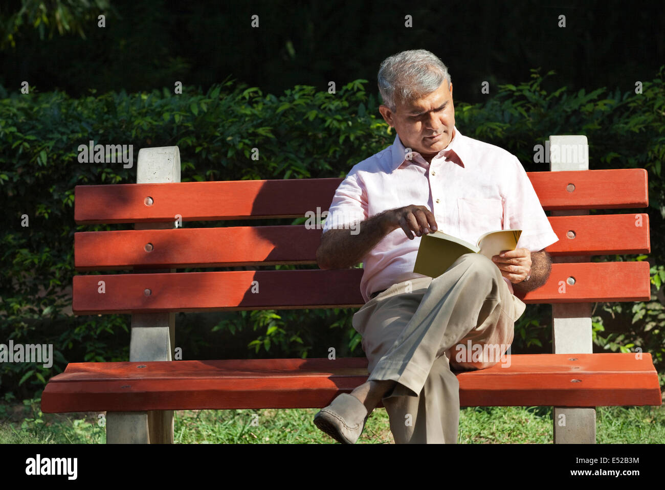 Senior Mann liest ein Buch in einem park Stockfoto
