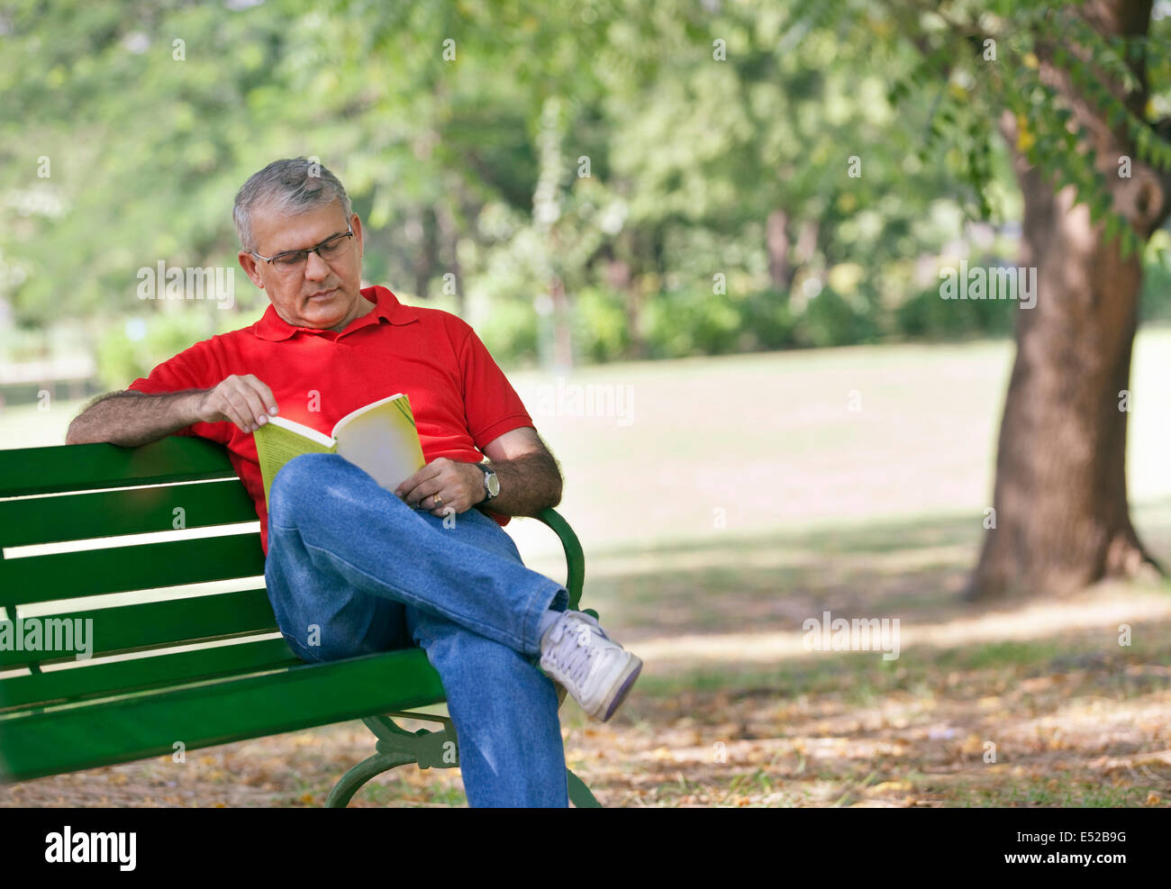Senior Mann liest ein Buch in einem park Stockfoto
