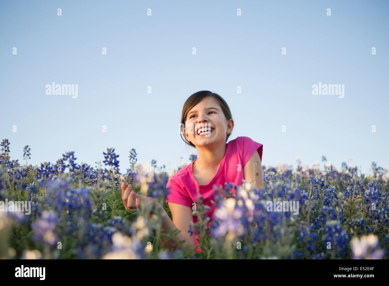 Ein junges Mädchen sitzt in einem Feld von wilden Blumen, lachen. Stockfoto