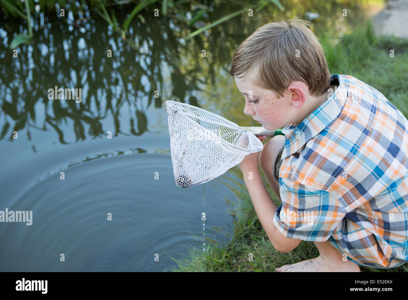 Teich, der junge eintaucht Fotos und Bildmaterial in hoher Auflösung