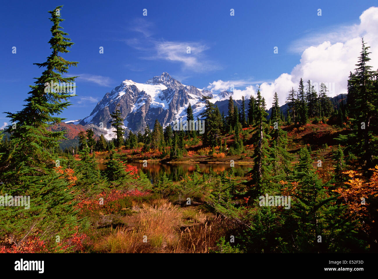 Mount Shucksan in der North Cascade Range Mountains im Herbst. Stockfoto