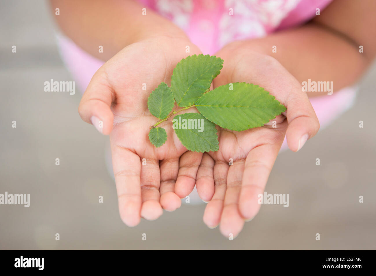 Ein Kind hält grüne Blätter in ihre Handflächen. Stockfoto
