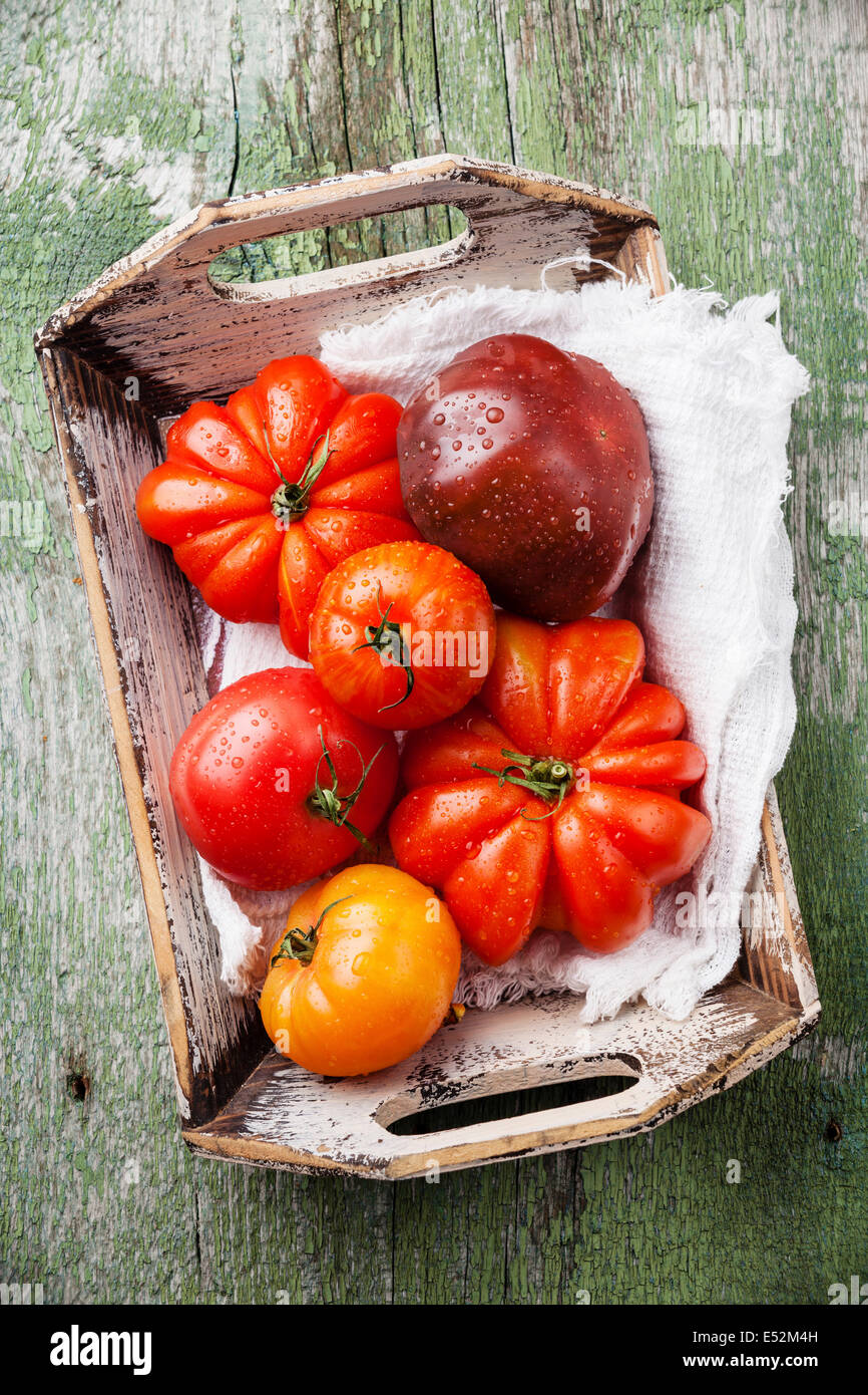Reife frische bunte Tomaten in Holzkiste auf grünem Hintergrund aus Holz Stockfoto