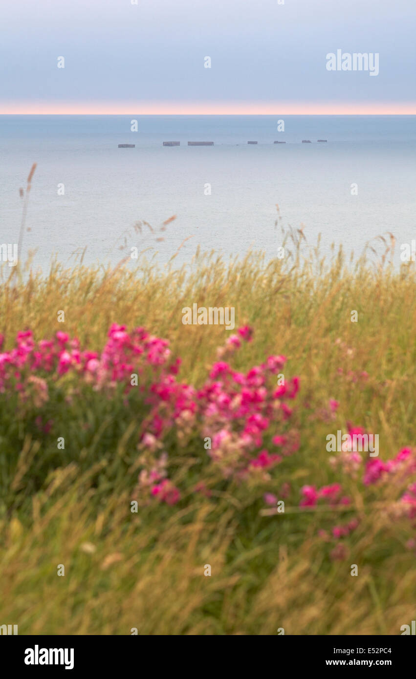 Blick auf die Reste der Mulberry Hafen am Strand von Arromanches Normandie Frankreich am frühen Morgen im Juli Stockfoto