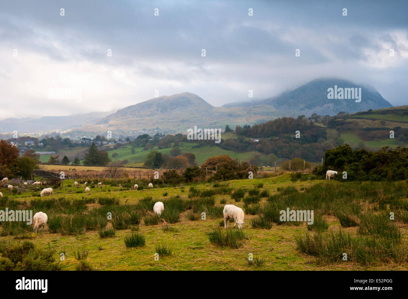 Snowdonia, Wales UK Stockfoto