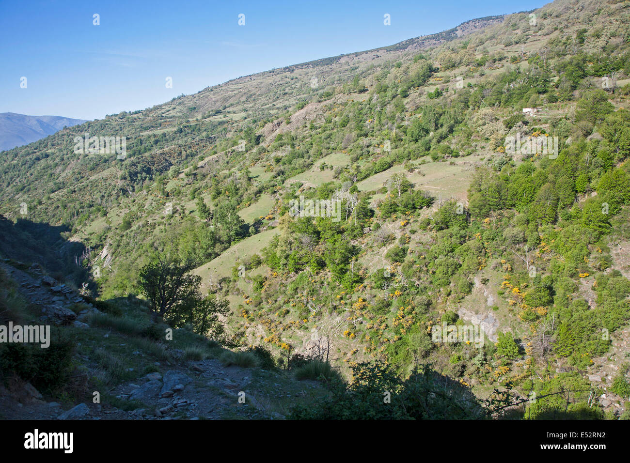 Landschaft des Flusses Rio Poqueira Schlucht Tal, hohe Alpujarras, Sierra Nevada, Provinz Granada, Spanien Stockfoto