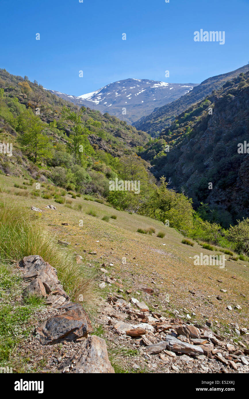 Landschaft des Flusses Rio Poqueira Schlucht Tal, hohe Alpujarras, Sierra Nevada, Provinz Granada, Spanien Stockfoto