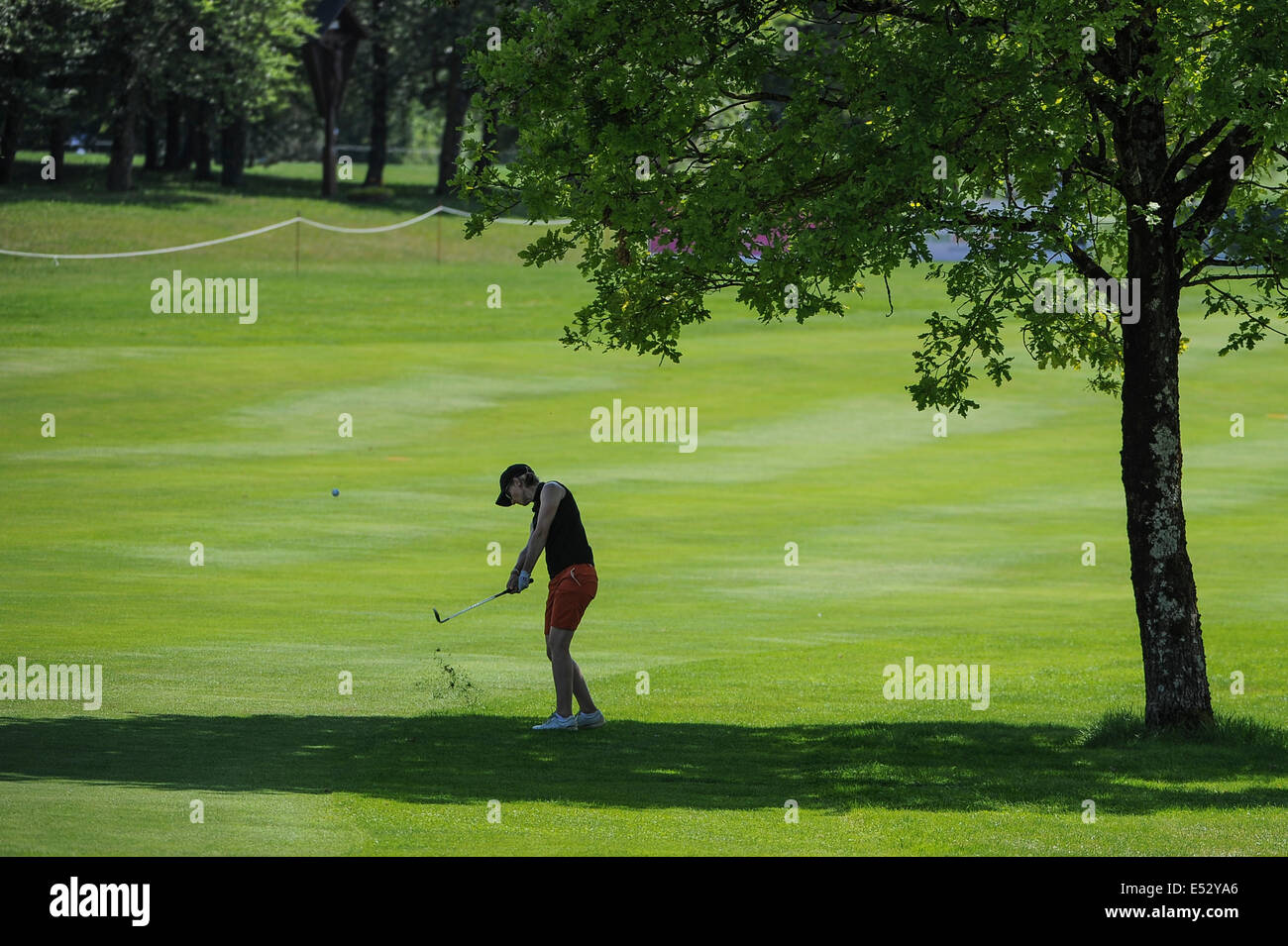 Woerthsee, Deutschland. 18. Juli 2014. Ladies German Open, Frauen-Golf-Turnier, Chip unter Atree Credit: Burghard Schreyer/Alamy Live News Stockfoto