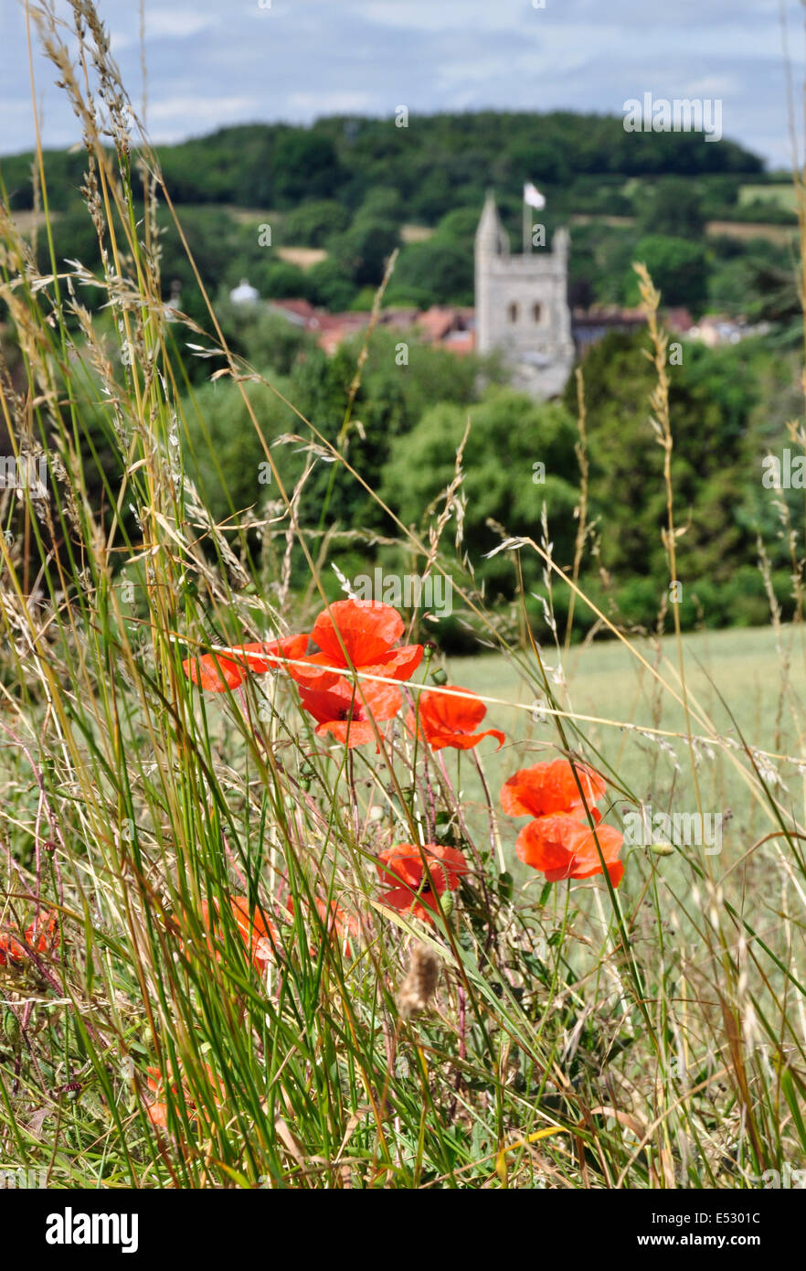 Böcke Chiltern Hills über Old Amersham - scharlachroten Mohn - inmitten langer Rasen - soft-Fokus-Hintergrund - Kirchturm Flagge Stockfoto