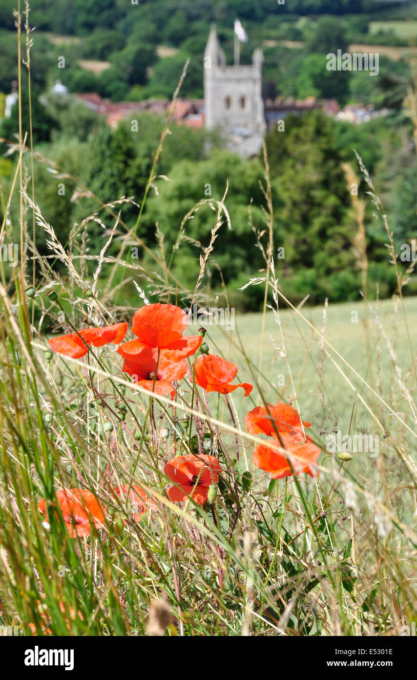 Böcke Chiltern Hills über Old Amersham - Großaufnahme scharlachroten Mohn - inmitten von langen grass - soft-Fokus Hintergrund Kirchturm mit Flagge Stockfoto