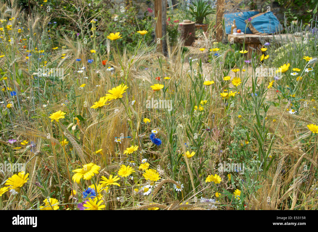 Die Flintknapper Garten - eine Geschichte von Thetford im RHS Hampton Court Palace Flower Show 2014 Stockfoto