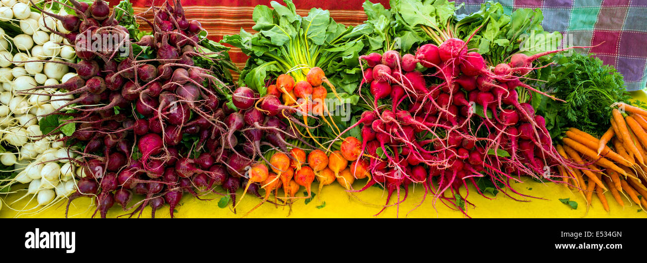 Anbieter verkaufen frisches Gemüse, Produkte und andere Gegenstände auf eine saisonale Bauernmarkt im kleinen Bergdorf Stadt Salida, Colorado Stockfoto