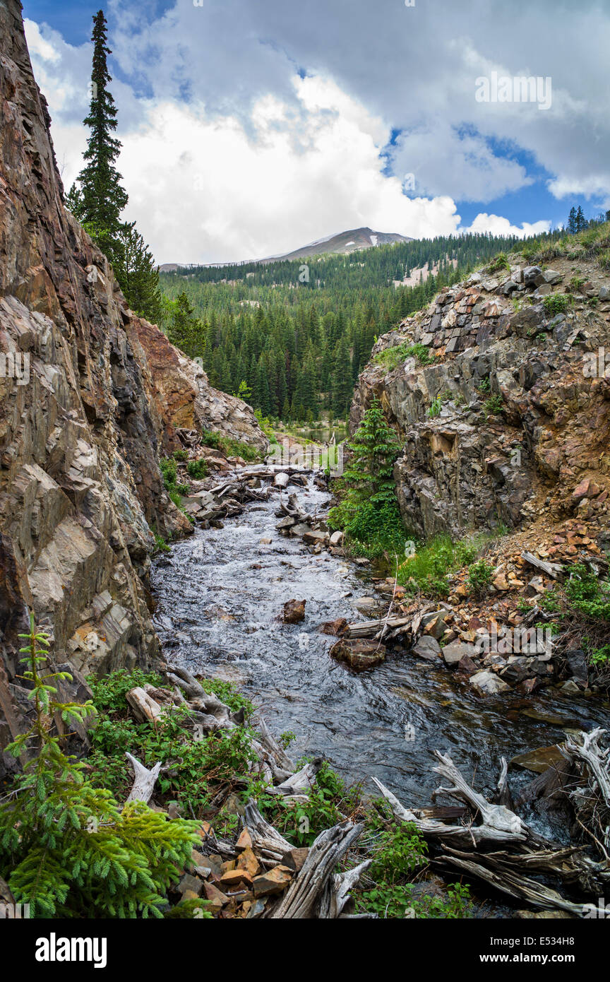 Creek-Entwässerung von Boss Lake Reservoir; Chaffee County; Colorado; USA Stockfoto