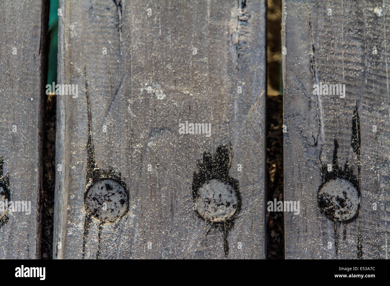Holzbohlen dock Textur am Meer Stockfoto