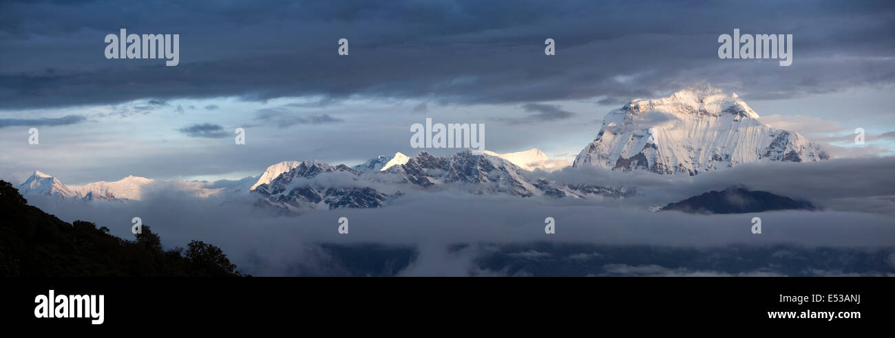 Nepal,, Dhaulagiri und Annapurna Bergkette im Morgengrauen aus Poon Hill Panorama Stockfoto