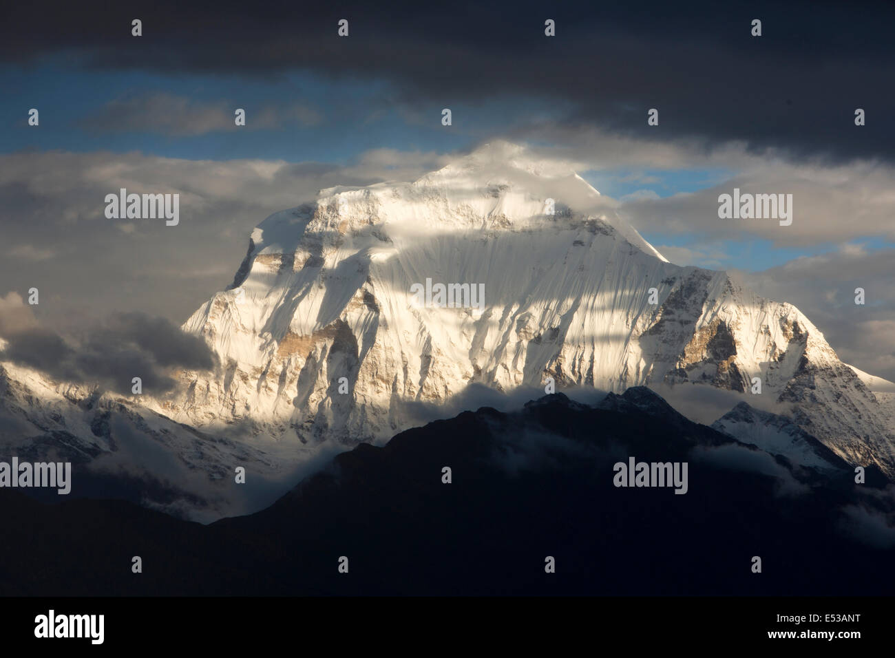 Nepal,, Dhaulagiri Berg im Morgengrauen vom Poon Hill Stockfoto