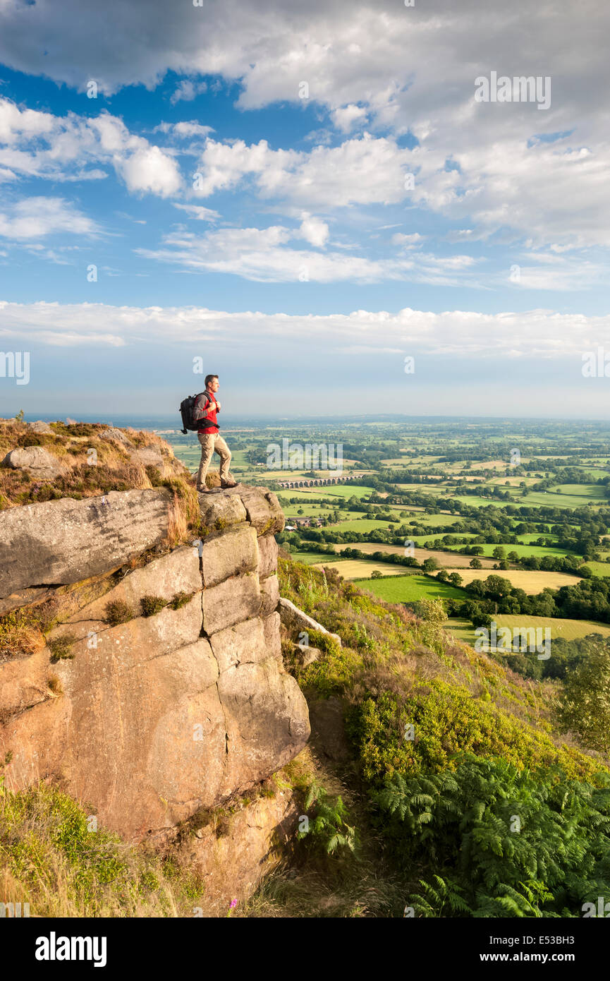 Rambler, die auf der Suche über die Prärie Cheshire von Bosley Wolke in der Nähe von Congleton, Cheshire UK Stockfoto
