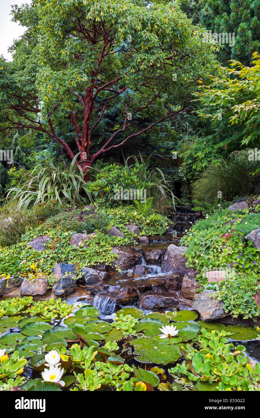 Ziergarten mit Wasserfall über Felsen und Seerosen, Pollok Park, Glasgow, Scotland, UK Stockfoto