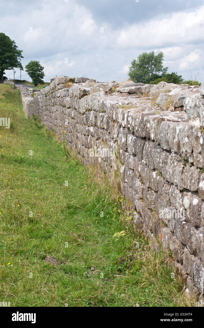 Detailansicht einer Ausdehnung der Hadrian's Wall läuft nach Westen Richtung Birdoswald Roman Fort, Cumbria, England, Großbritannien Stockfoto