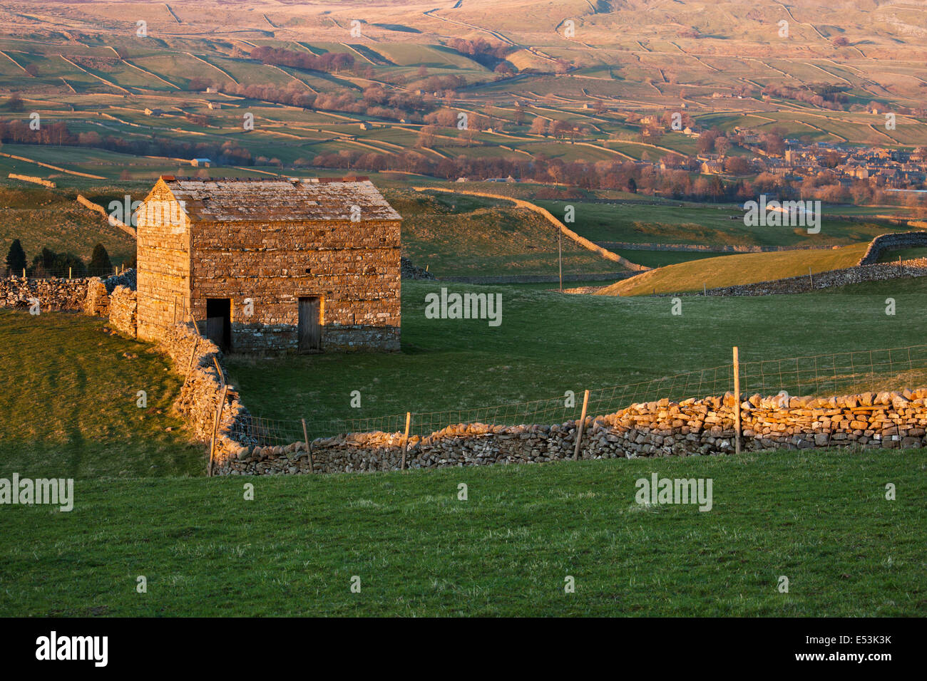 Trockenmauer und Fieldbarns beleuchtet von der untergehenden Sonne in Wensleydale, Yorkshire Dales, North Yorkshire, UK Stockfoto