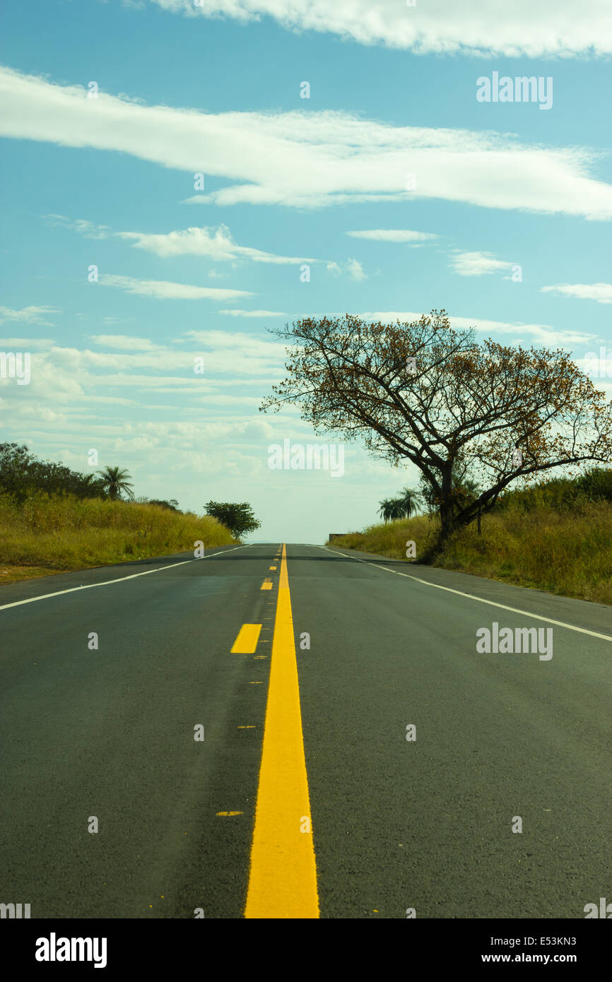 Gerade Straße berühren den Himmel und schöner Baum auf der rechten Seite Stockfoto