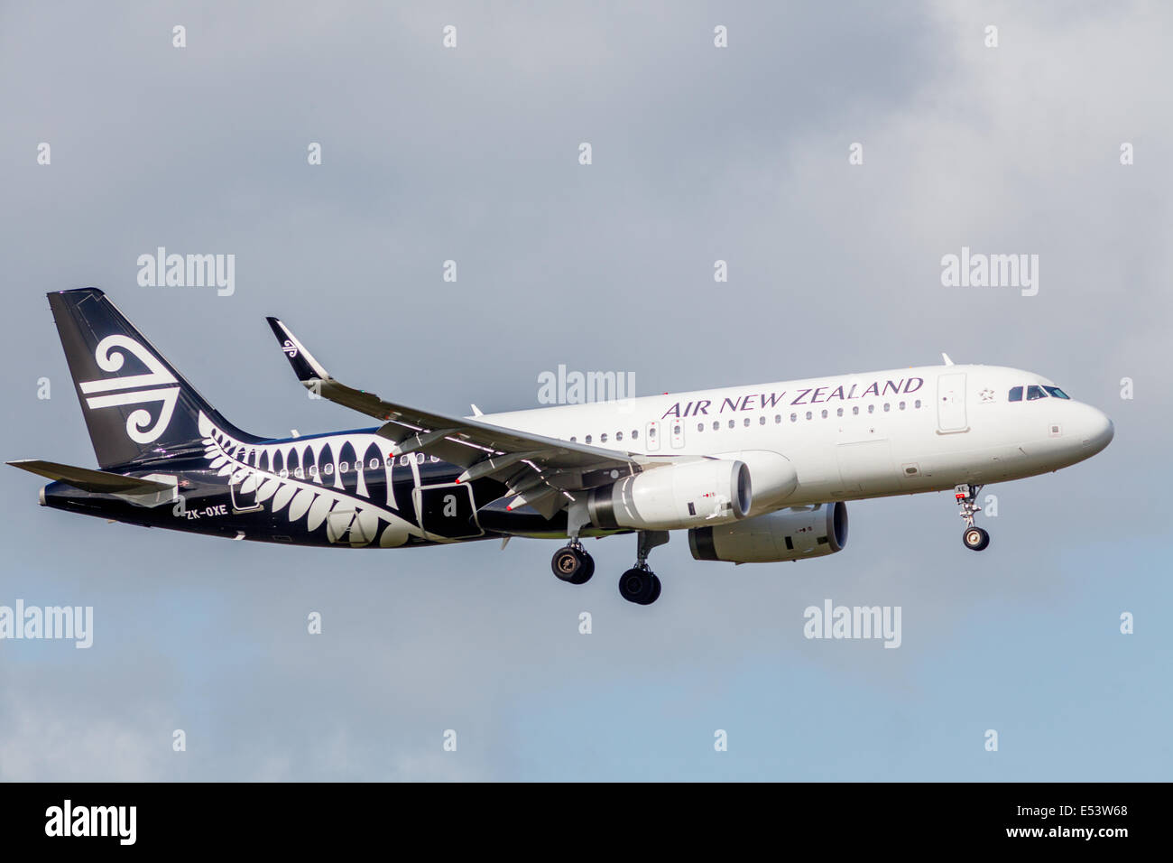 AIR NEW ZEALAND Airbus A320-200 zweistrahlige Jet, ZK-OXE im Endanflug an AKL Flughafen Auckland, Nordinsel, Neuseeland Stockfoto