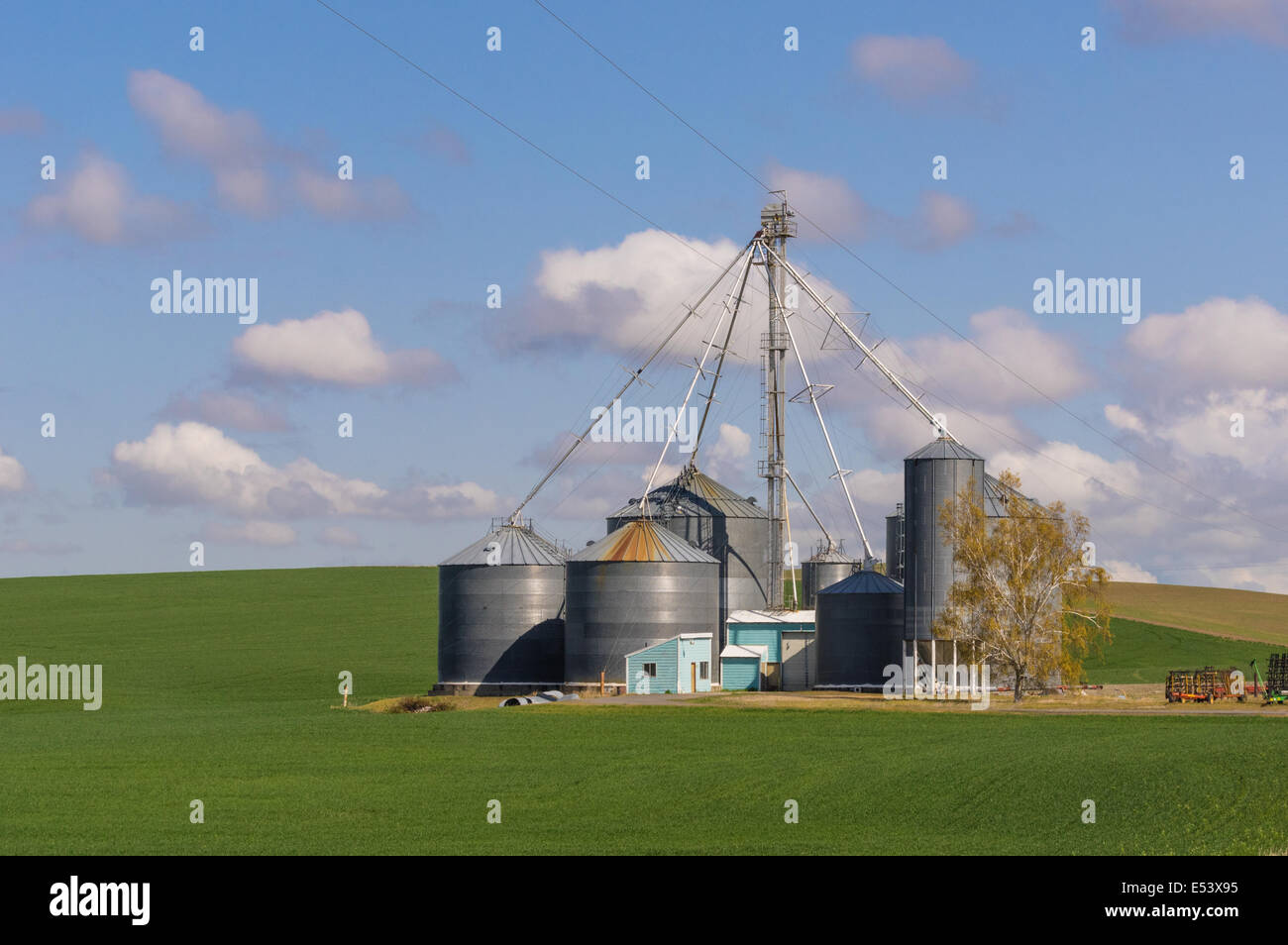 Bauernhof-Felder mit Getreide Lagersilos und Aufzug Stockfoto