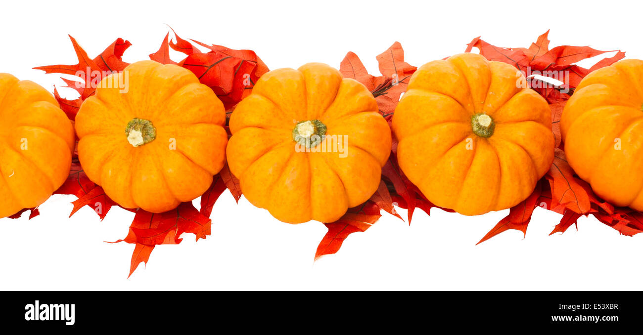 Herbst-Border-Element mit kleinen Kürbissen und rote Blätter Stockfoto