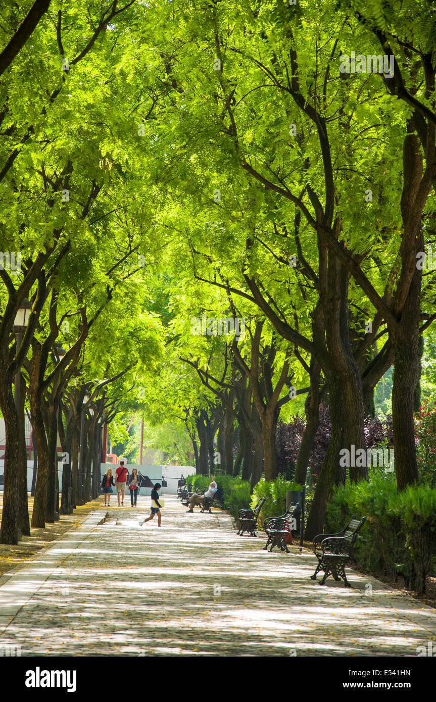 Parque de Maria Luisa in Sevilla-Sevilla Spanien Stockfoto