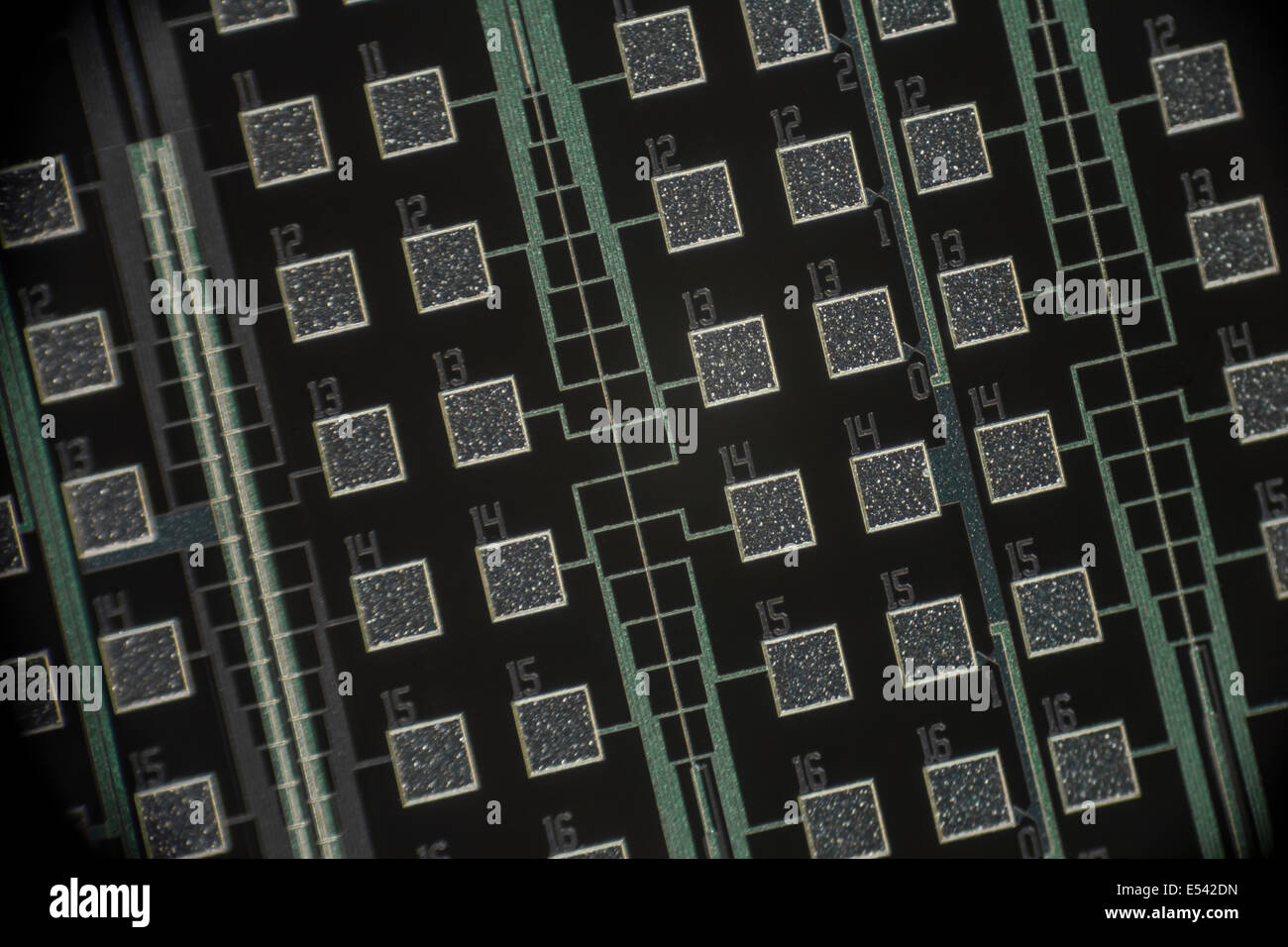 Micro-Foto von Tiny micro-Schaltung auf einem Chip sterben auf Siliziumwafer. Die digitale Technologie Konzept. Siehe 'Beschreibung' für Fokus Detail beachten. Stockfoto