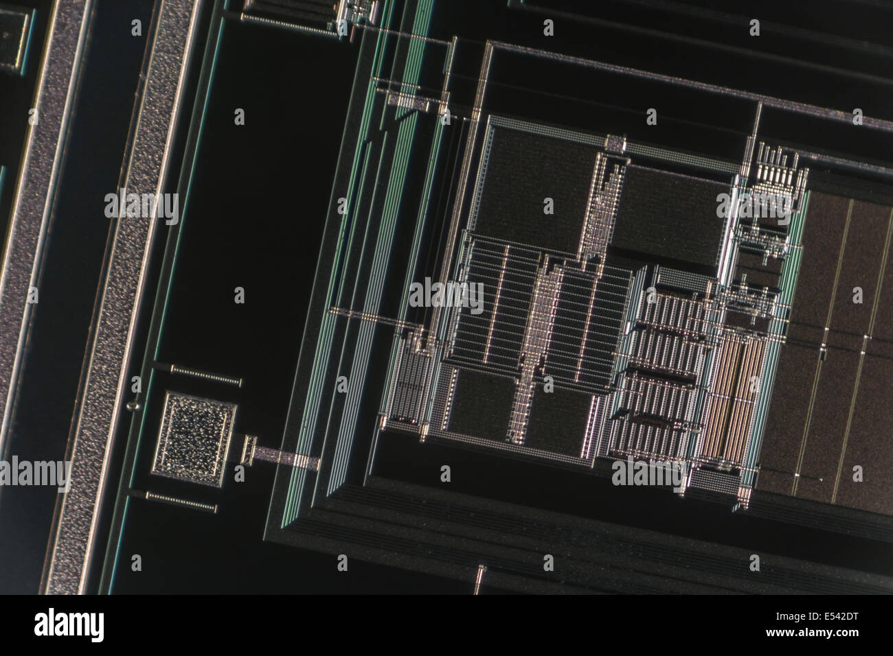 Micro-Foto von Micro-Schaltungen eines einzigen Chip sterben auf einem Siliziumwafer, digitale Technik Konzept. Siehe 'Beschreibung' für Fokus Detail beachten, Stockfoto