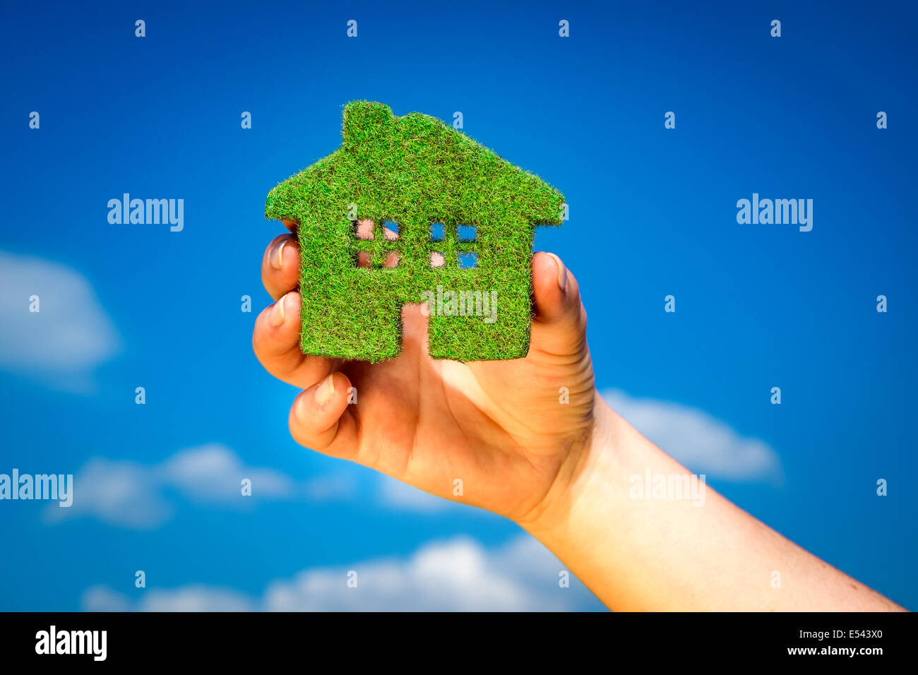 Grass nach Hause auf einem Hintergrund des blauen Himmels in Menschenhand. Eco-Konzept. Stockfoto