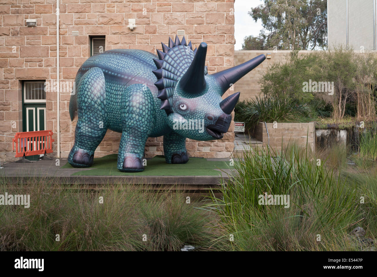 Aufblasbare sprengen Spielzeug Dinosaurier verwendet wird, um die Dinasour Entdeckung-Veranstaltung im Musée Perth, Western Australia, 2014 zu fördern. Stockfoto