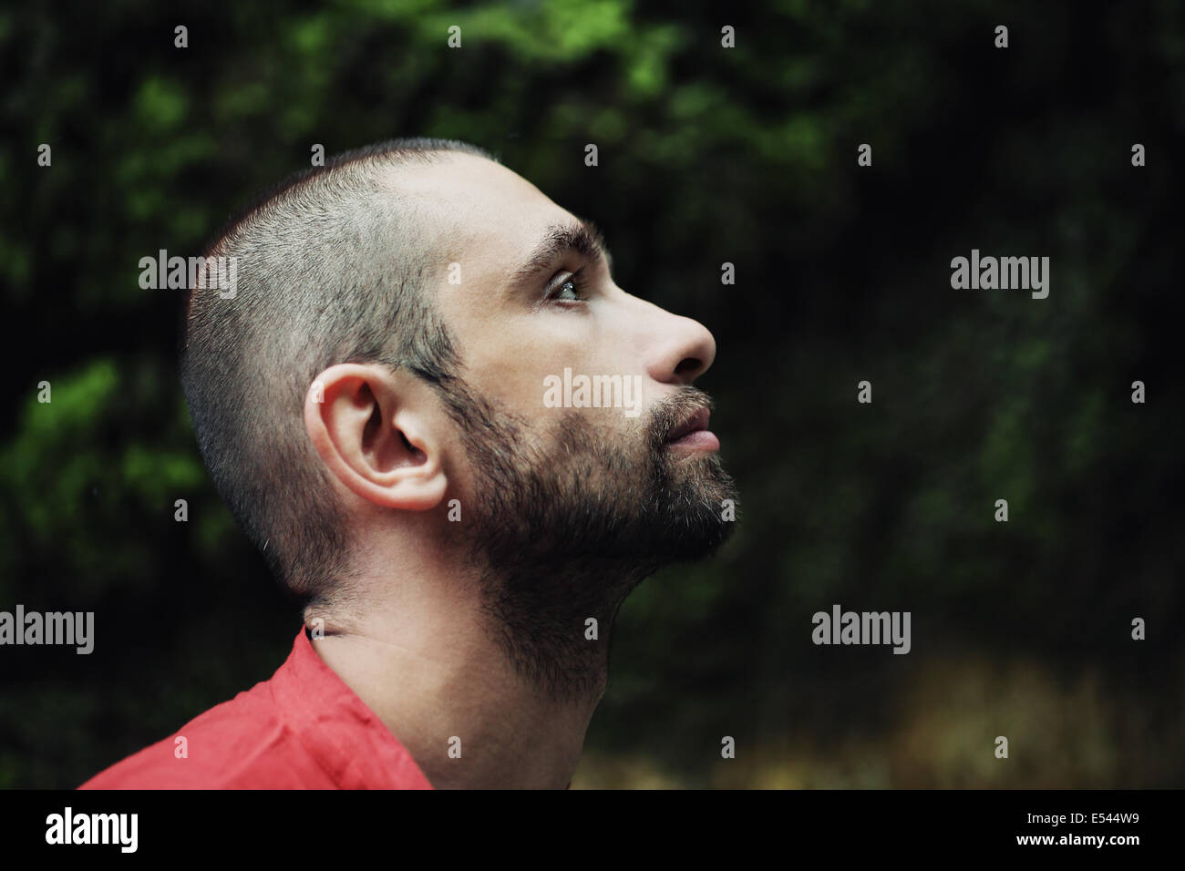 Porträt des jungen trauriger Mann mit kurzen Haaren im Wald Stockfoto