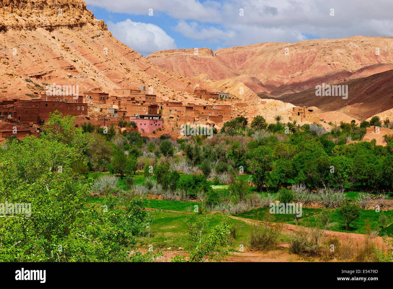 Dadkht Ait Omazia Dorf, in der Nähe von Ait Bennhaddou, grünen fruchtbaren Flusstälern, Landwirtschaft, Walnuss, Pfirsichbäume blühen, Taxe Stockfoto