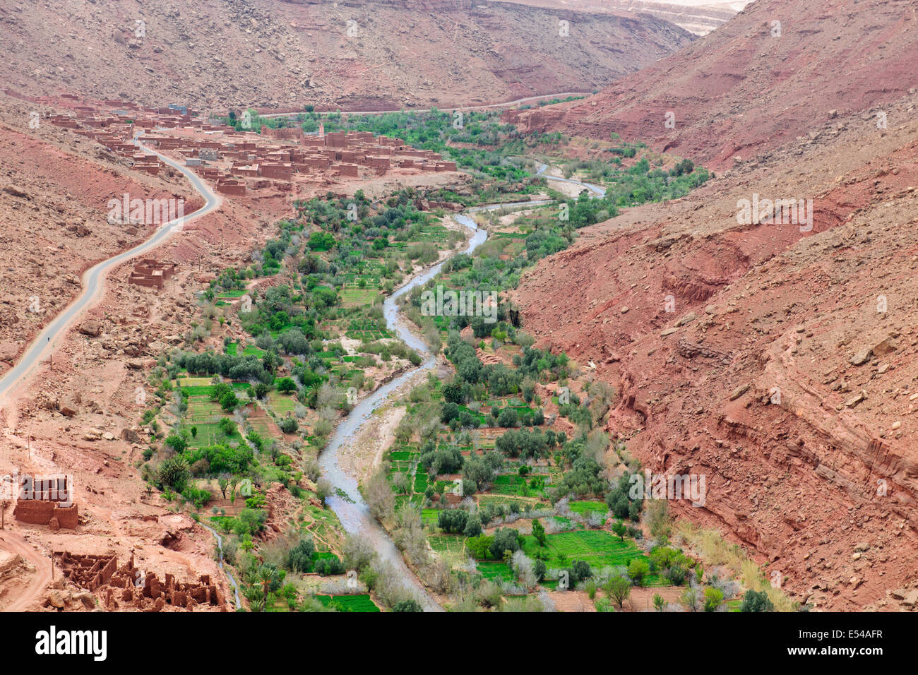 Schluchten, Palmeraies, Palmen, Datteln, Walnüsse, Agricultural, gebirgige Region Asif Ounila Fluss, Ounila Dorf, Flussbett, Marokko Stockfoto