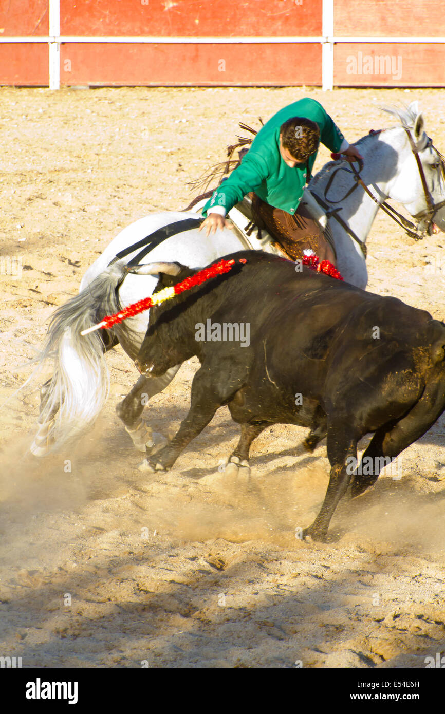 MADRID, Spanien - 10 SEPTEMBER: Stierkämpfer zu Pferd, Stierkampf. 10. September 2010 in Madrid (Spanien) Stockfoto