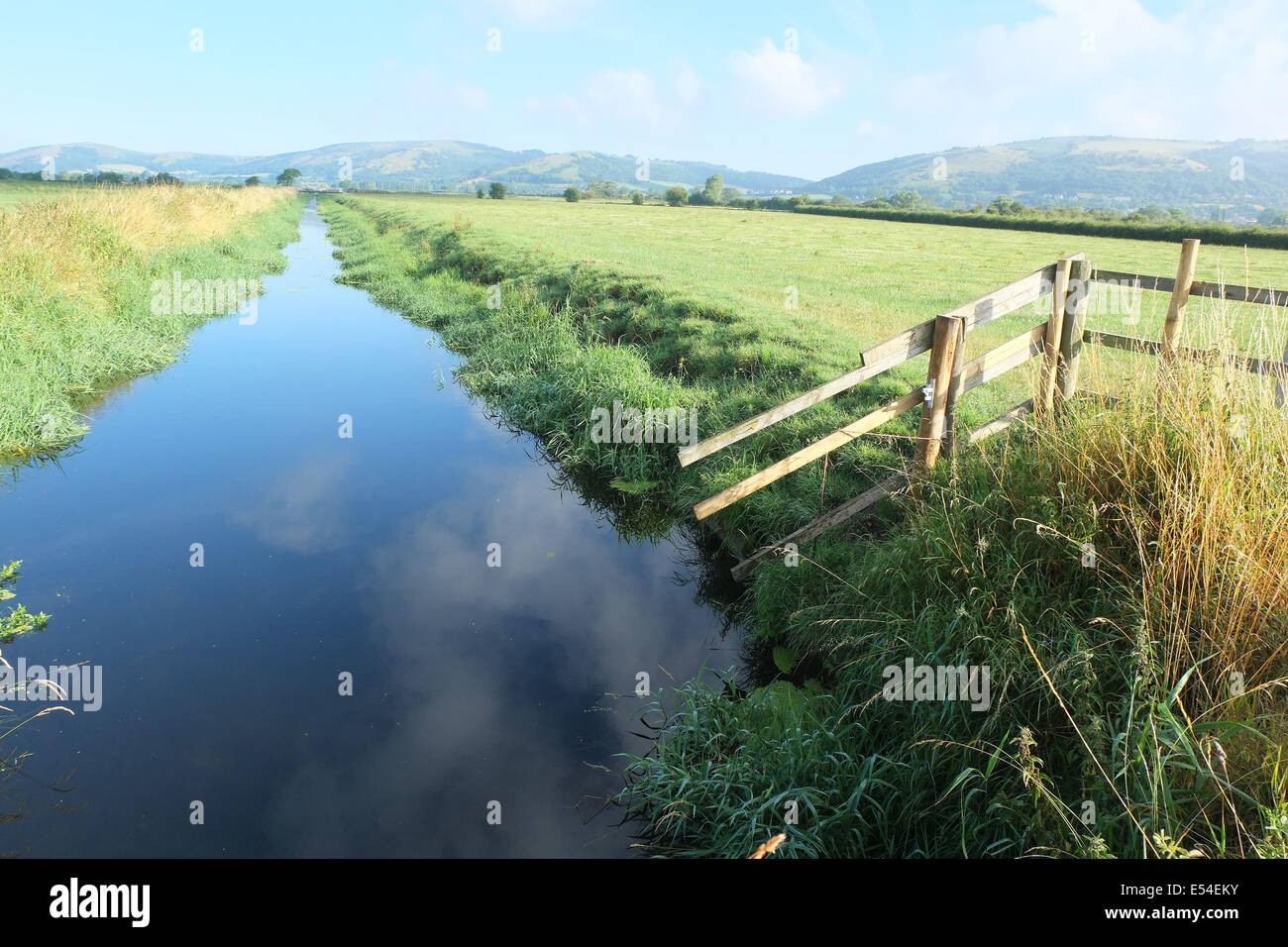 Sauberen Fluss auf den Ebenen in der Nähe von Cheddar in Somerset, England, UK. Juli 2014 Stockfoto