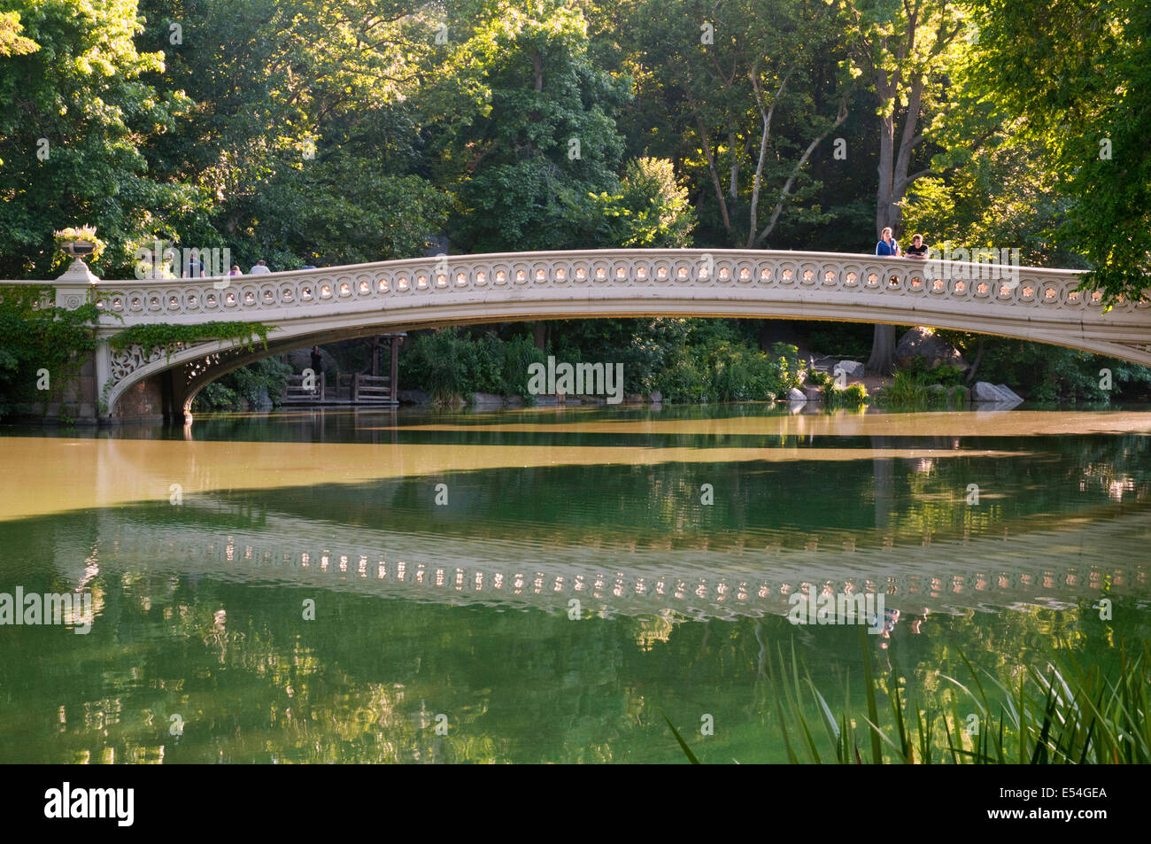 Bogenbrücke im Central Park in New York City Stockfoto