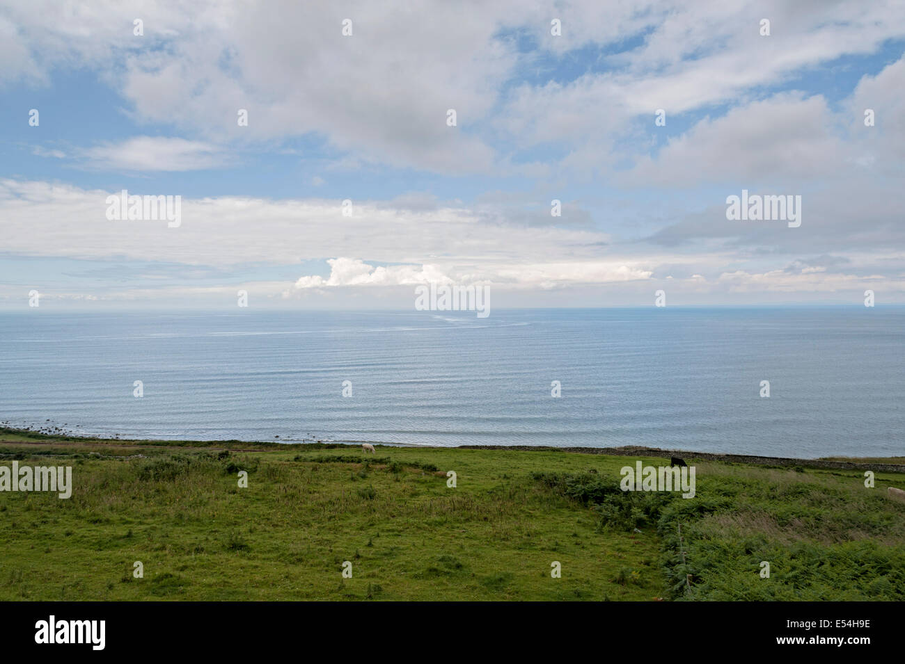 Irische See Blau Wetter Wolken mit grünen Küste im Vordergrund aus wales Stockfoto