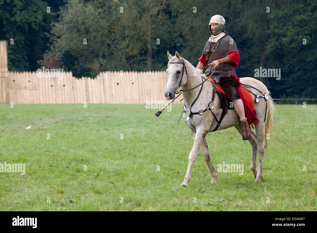 Roman Cavalry Soldat auf einem PalominoPferd Stockfotografie Alamy