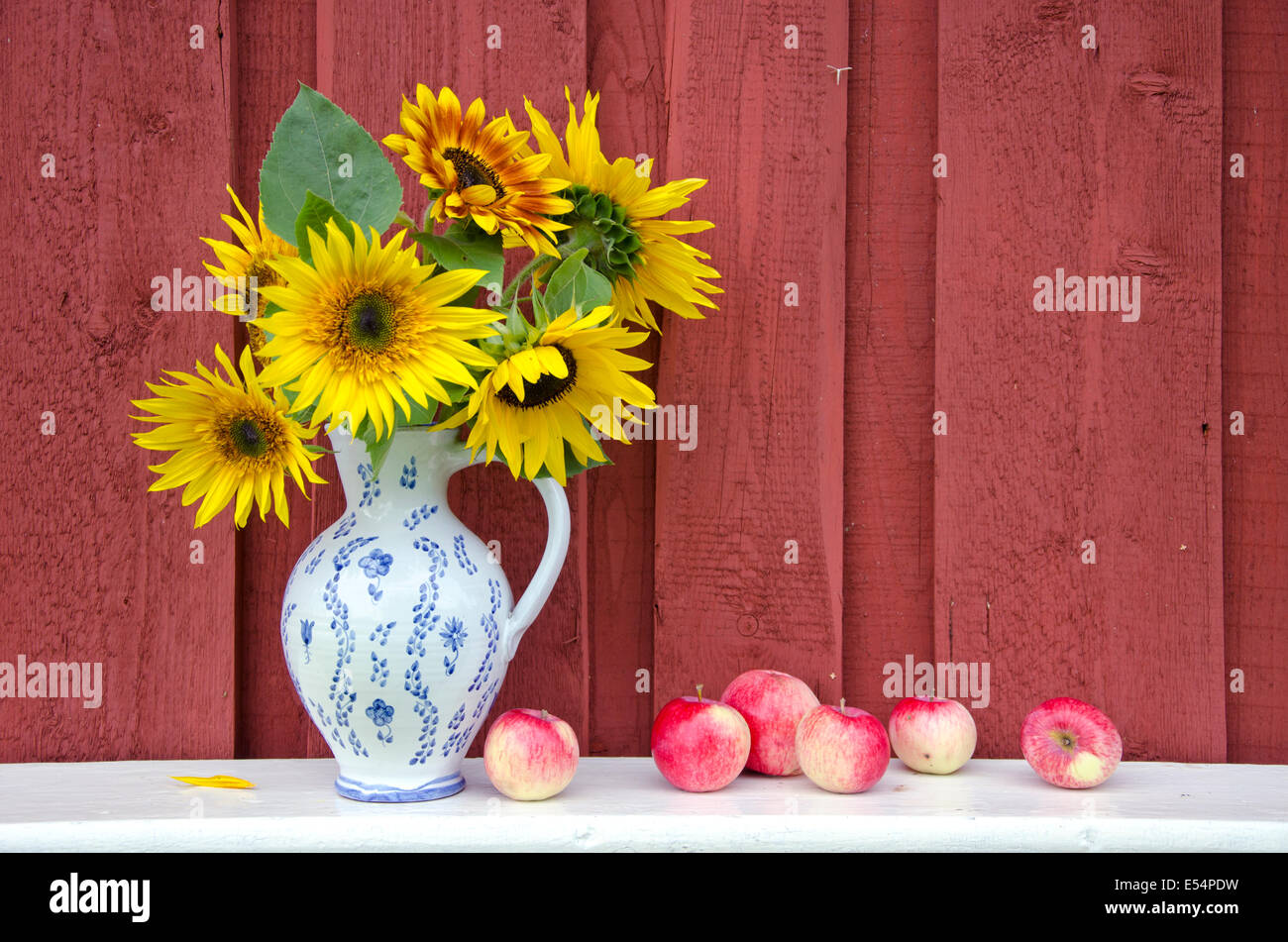 dekorative Keramik Krug Krug mit schönen Sonnenblumen und frische reife Äpfel. Sommer Ende Still-Leben Stockfoto