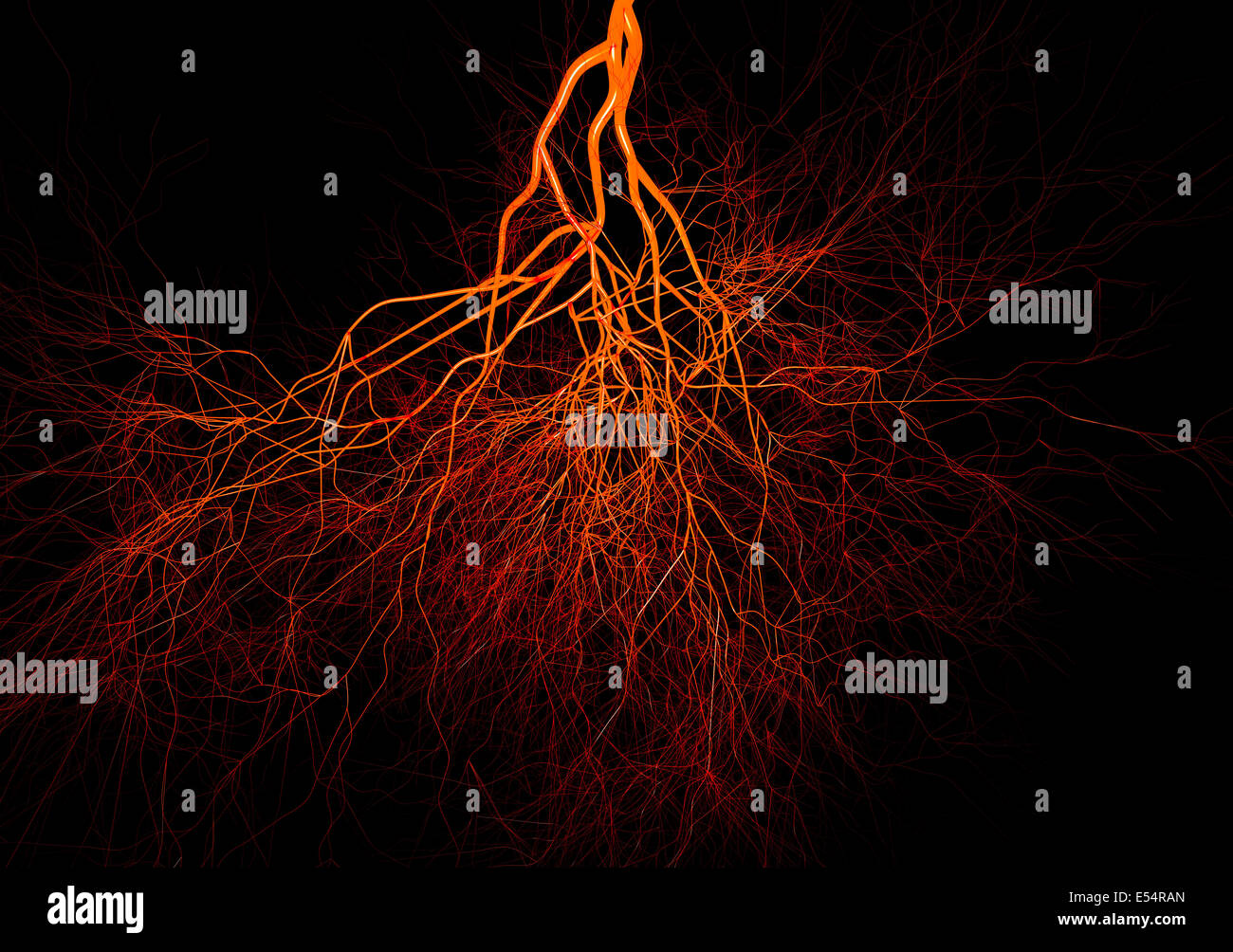 Nervensystems oder des Nervensystems.  Medizinische illustration Stockfoto