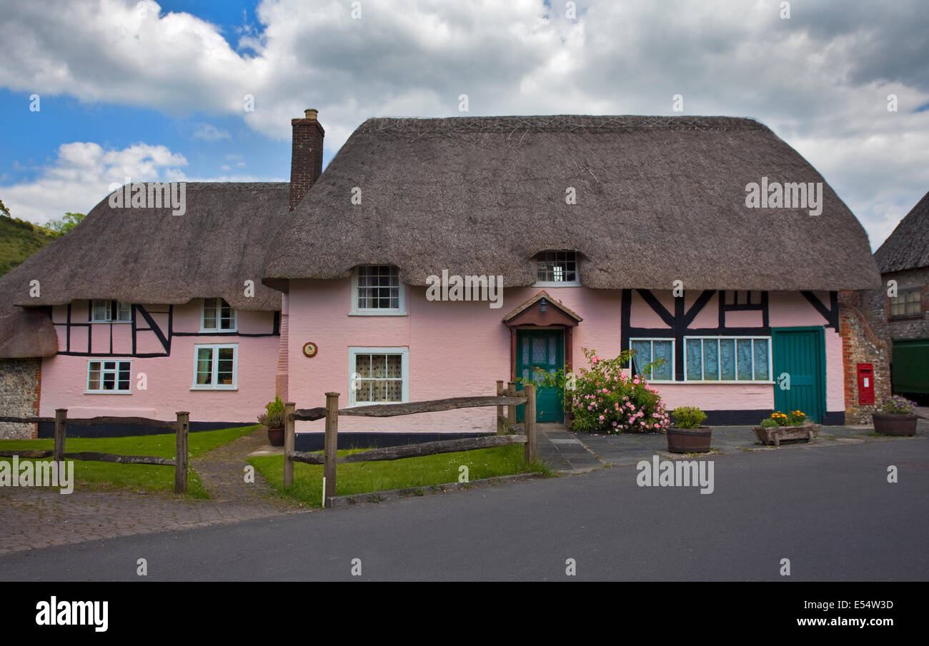 Reetdachhaus, East Meon, Hampshire, England Stockfoto