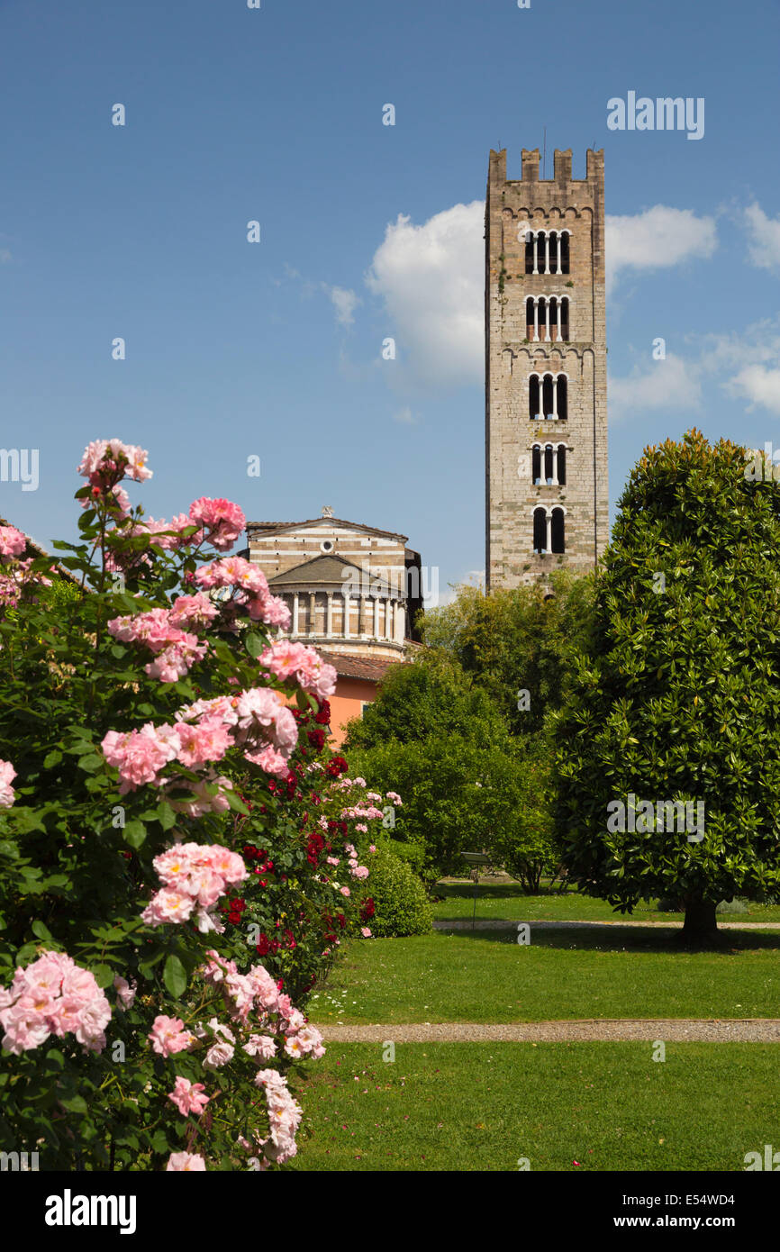 San Frediano Kirche betrachtet aus dem Palazzo Pfanner Garten, Lucca, Toskana, Italien, Europa Stockfoto