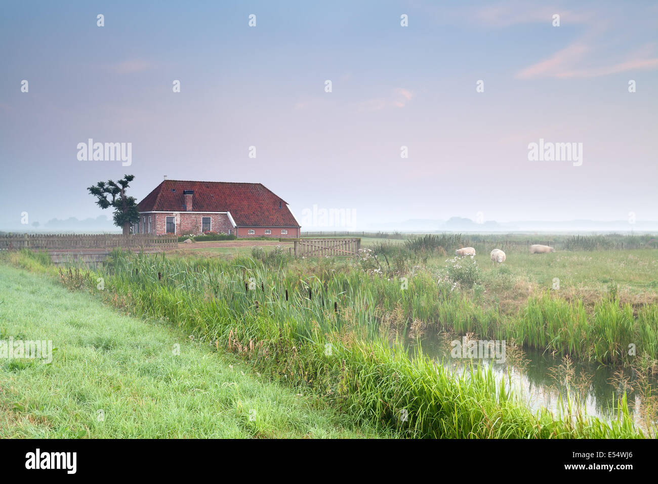 gemütliches Bauernhaus in nebligen Morgen, Niederlande Stockfoto