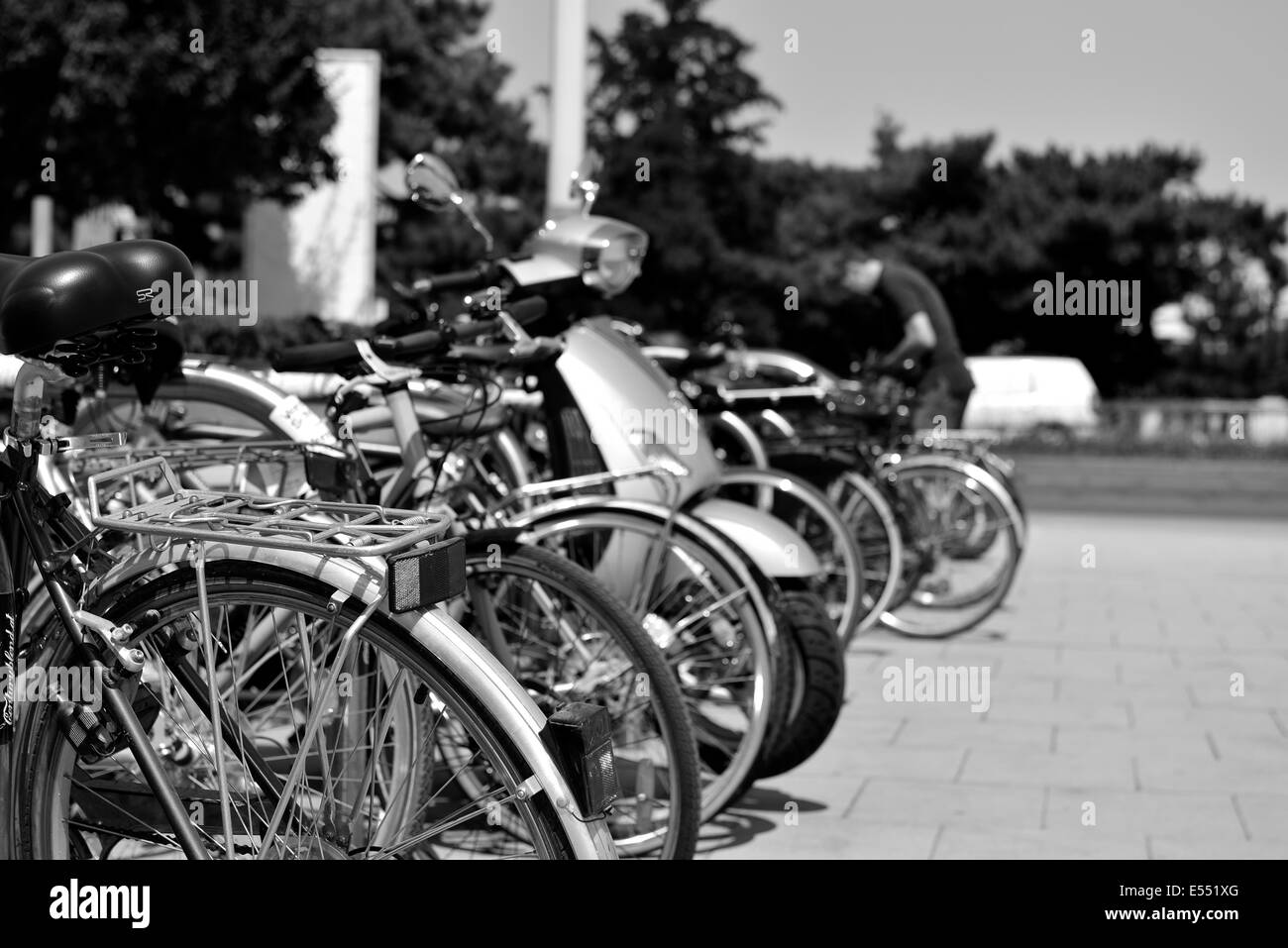 Fahrräder-Linie Stockfoto